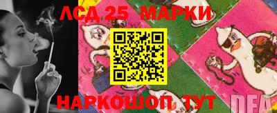 шишки Донской