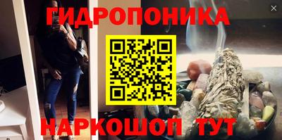 шишки Донской
