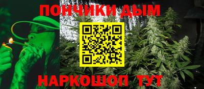 шишки Донской