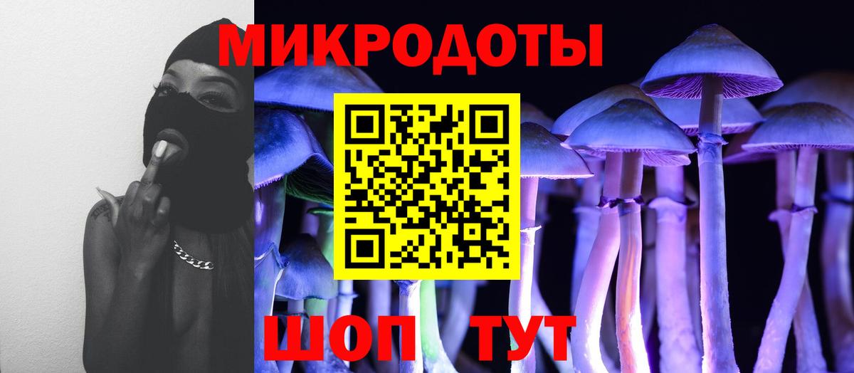 Галлюциногенные грибы прущие грибы  Псилоцибиновые грибы мицелий  Лосино-Петровский  Вход с VPN 
